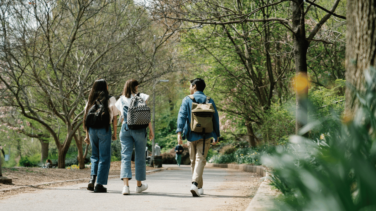 afternoon-two-minute-digestion-walk-sunlight